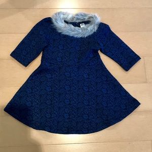 Janie and Jack winter dress with faux fur collar